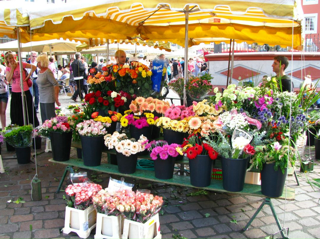 Вера Борисова фотография #26