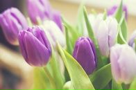 Фотография Неземной Любови