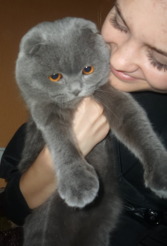 Марина Прокопенко фотография #44