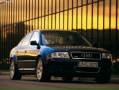 Фотография Ланкау Павла