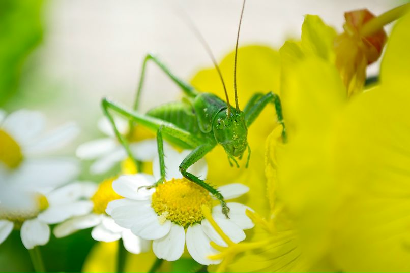 Антон Девяткин фотография #46