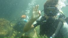 Фотография Данилова Валентина