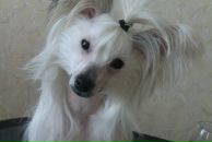 Фотография Иопы Екатерины