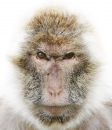 Фотография Michael Gruznov