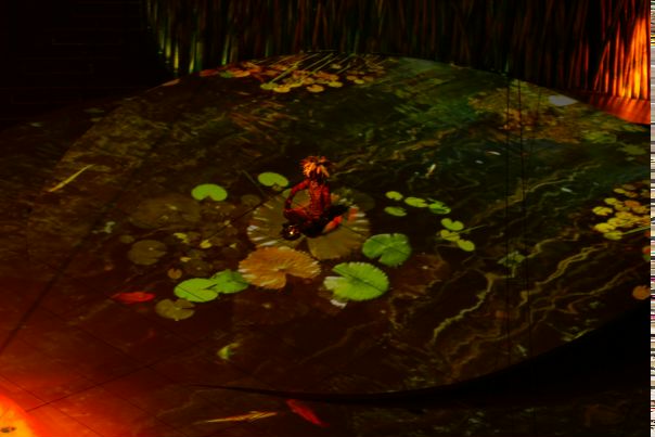 Ден Потипа фото №28