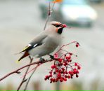 Фотография Алексеевой Татьяны