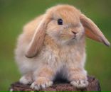 Фотография Екимовой Татьяны