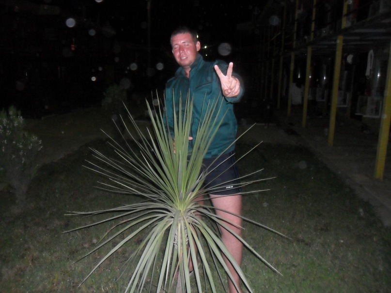 Дмитрий Штапов фотография #43