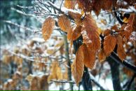 Фотография Сулимы Татьяны