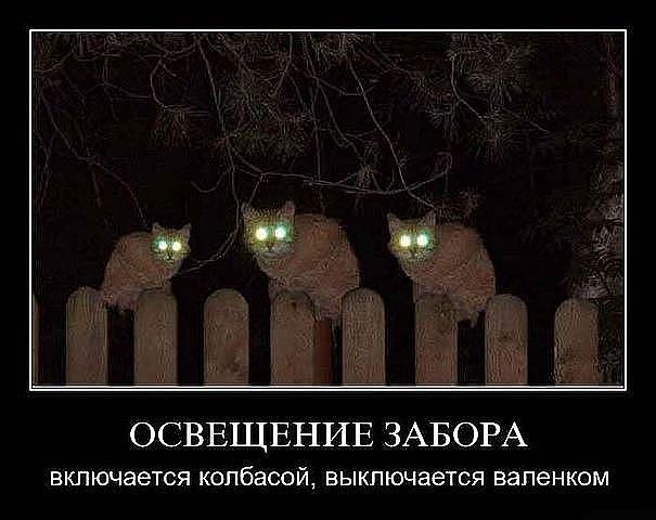 Эля Остапенко фотография #21