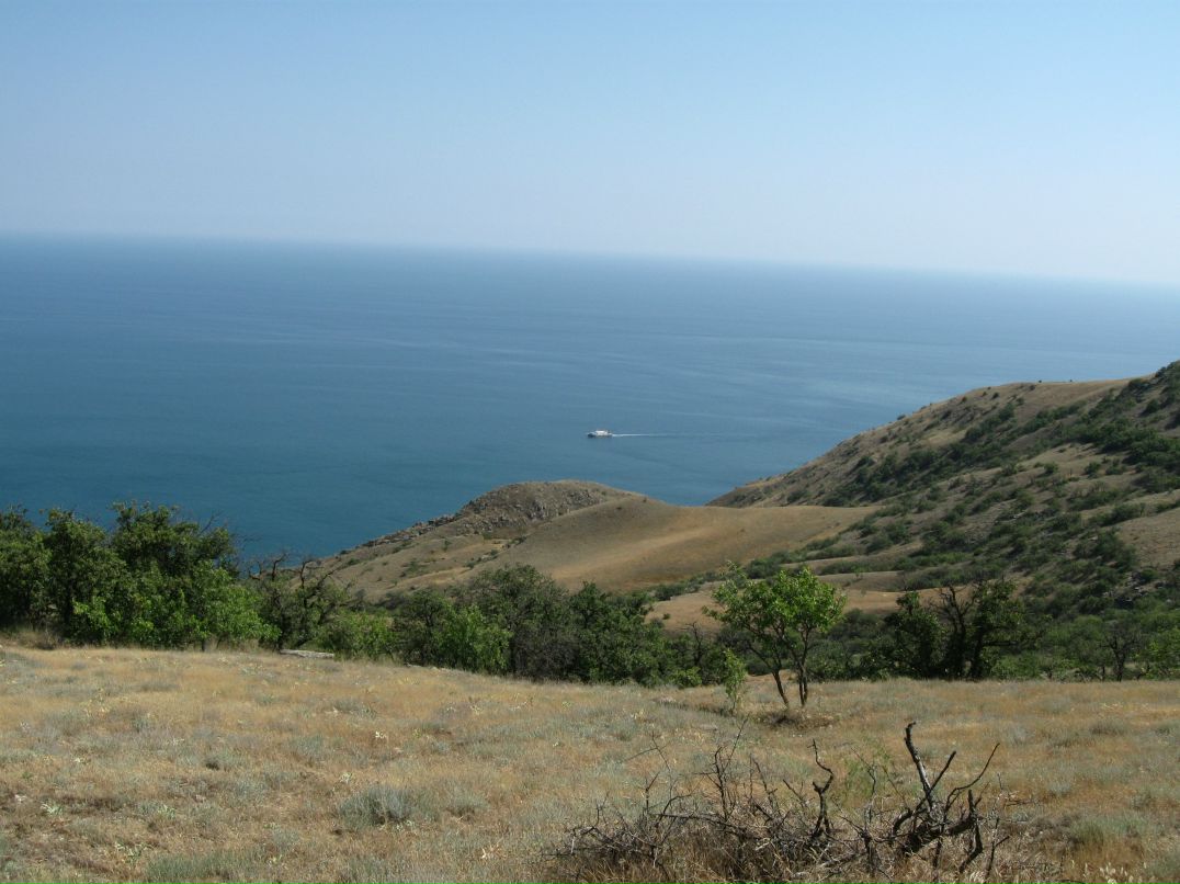 Пабло Пых фотография #34