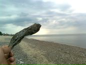 Дмитрий Шостак фотография #10 (источник - https://vk.com/id478669)