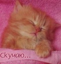 Лєна Павленко фотография #40 (источник - https://vk.com/id115829065)