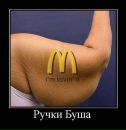 Денис Цветков фотография #19 (источник - https://vk.com/id2893261)