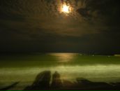 Фотография Данко Иванко