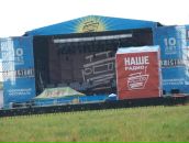 Фотография Маркиной Евгении