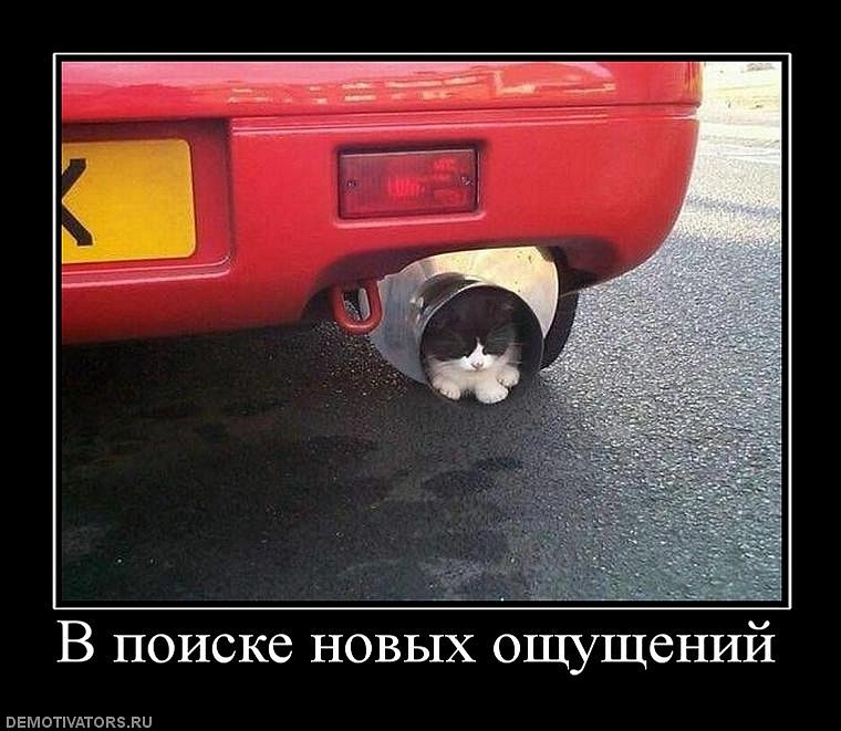 Леонид Субботин фотография #32