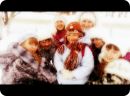 Софія Невінська фотография #39 (источник - https://vk.com/id110555503)
