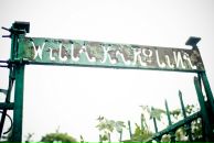 Ірина Яблонська фотография #38 (источник - https://vk.com/id7229485)