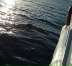 Фотография Седова Юрки