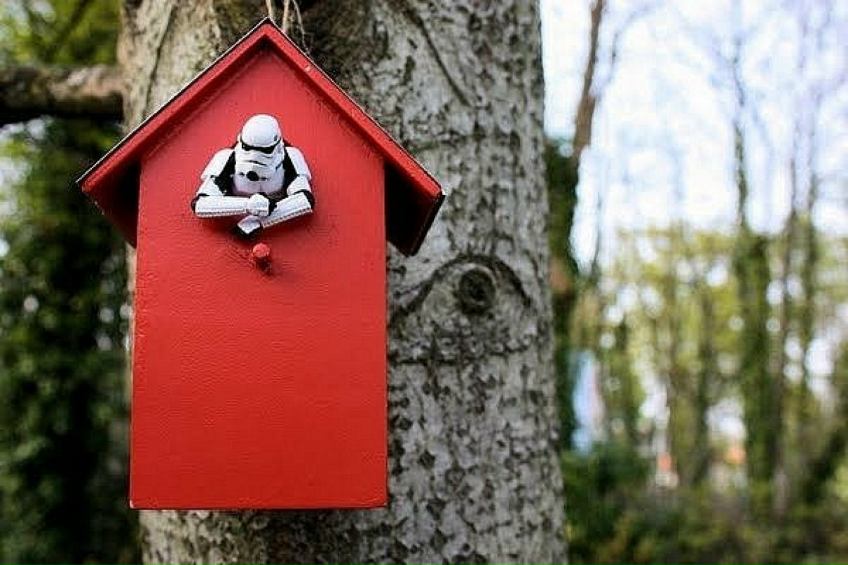 Клайд Барроу фотография #45