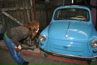 Фотография  