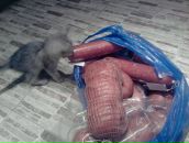 Фотография Поскотинова Юрия