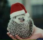 Фотография Киватыцкой Евгении