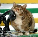 Фотография Кониболоцкой Галины