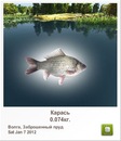 Катя Семенів фотография #11 (источник - https://vk.com/id150644712)