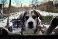 Толя Даниленко фотография #12 (источник - https://vk.com/id2023558)