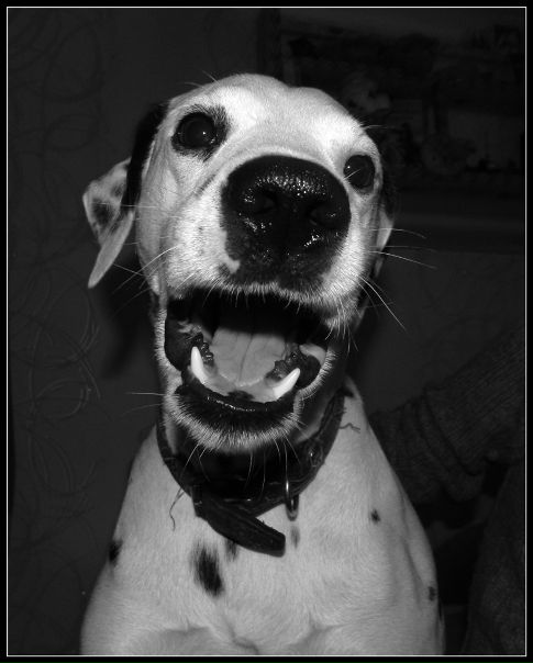 Larik Son фото №1