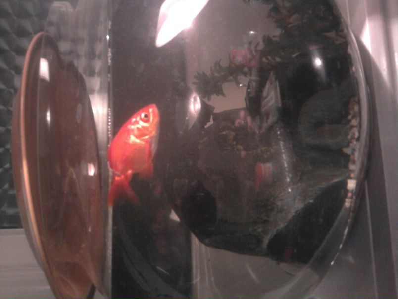 Sofya Dudaeva фото №25