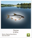 Сергій Приймак фотография #3 (источник - https://vk.com/id136718881)