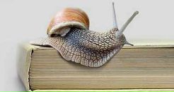 Фотография Джой Стефании