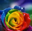 Софійка Андрусів фотография #8 (источник - https://vk.com/id155402957)