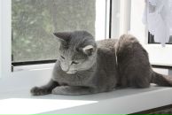 Фотография Ануфриевой Татьяны