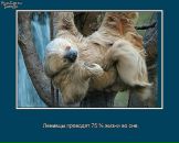 Андрій Мазепа фотография #47 (источник - https://vk.com/id89437312)