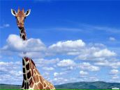 Фотография Ширяева Алексея