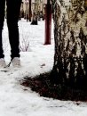 Фотография Анкудиновой Даши