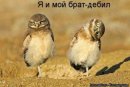 Іванка Чикачова фотография #8 (источник - https://vk.com/id10642637)