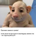 Фотография Скрипника Валерия