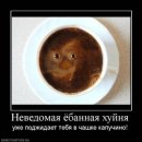 Фотография Zuev Димы