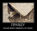 Игорь Луков фотография #36 (источник - https://vk.com/id4749943)