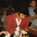 Elvis Presley фотография #11 (источник - https://vk.com/id356047)