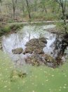 Тонічка Луцька фотография #34 (источник - https://vk.com/id38092186)