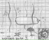 Слава Ракацап фотография #48 (источник - https://vk.com/id281932)