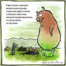 Иван Меняйлов фотография #31 (источник - https://vk.com/id1688)