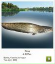 Вадім Іванов фотография #5 (источник - https://vk.com/id82354950)