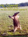 Фотография Полетова Александра